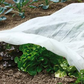   Wintertex téli fátyolfólia, fehér 50g/m2 UV stab. 1,6mx10m