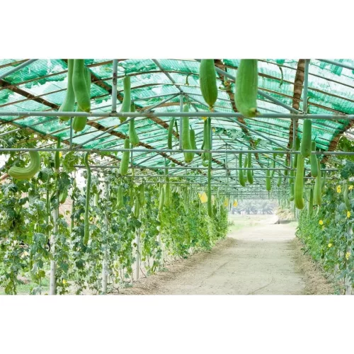 Árnyékoló háló ULTRALIGHTTEX, Raschel háló 1,5x50m zöld 30%