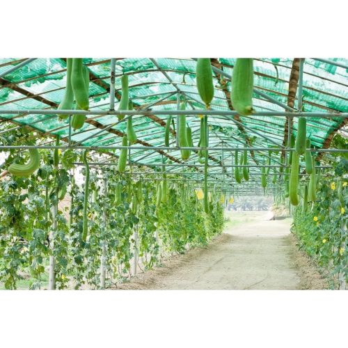 Árnyékoló háló - raschel háló 9,4 x 50 m zöld