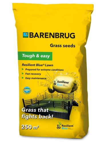 Barenbrug Resilient Blue Lawn fűmag (erős igénybevétel) 5kg