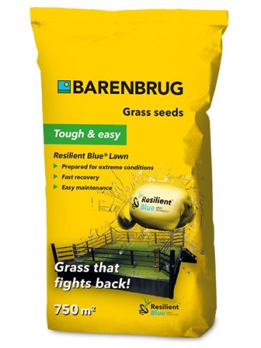 Barenbrug Resilient Blue Lawn fűmag (erős igénybevétel) 15kg