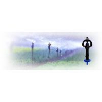 Mikroszórófejes  öntözés