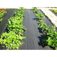 Agroszövetek, talajtakaró geotextilek, fátyolfóliák.