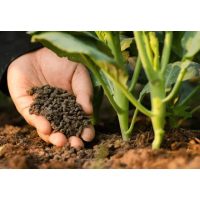 Szervestrágyák, biotrágyák, talajkondícionálók