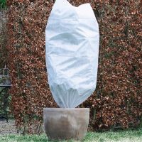 Téli növényvédelem