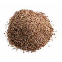 Fűmag, fűmagkeverék