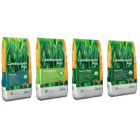 ICL(Everris) fűmagkeverékek