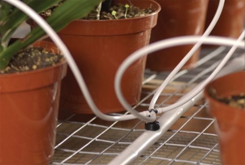 Csepegtető gomba Netafim - 4 l/h (szürke )